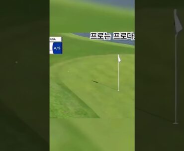 프로는 프로네 …와 😅😅🫡