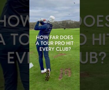 How far does a tour Pro carry each club, featuring DP World Tour winner Todd Clements 👌 #golf