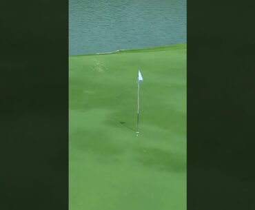How was this not a hole-in-one?  #holeinone #nearmiss  #golf