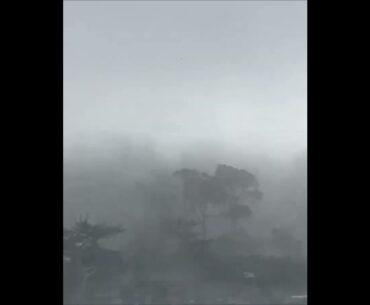 Tommy Fleetwood Pebble Beach #shorts