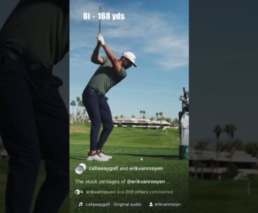 Erik van Rooyen’s PURE golf swing