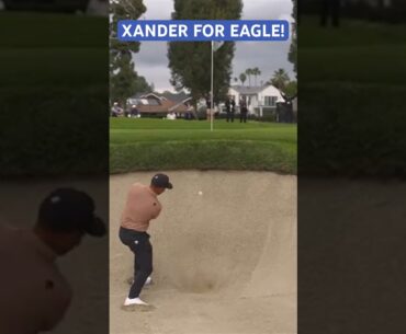 XANDER TIES THE LEAD😱