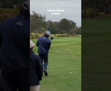 has Charlie Woods' golf swing changed at all between 2023 vs 2024