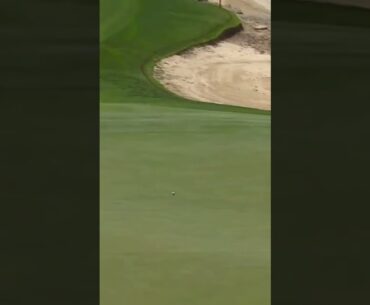 Thomas Pieters sinks it from distance 👏