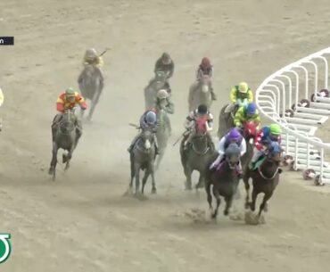 (Busan) 2024.02.25 R2 Class 6 (1200M) Special Weight A