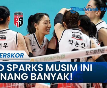 RED SPARKS MENANG BANYAK MUSIM INI! Insting Jitu Pelatih Kembalikan Mimpi yang Hilang