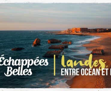 Les Landes, entre océan et forêt - Échappées belles