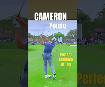 CAMERON YOUNG MAPLE SYRUP! #golftips #golfswing #golf #syrup