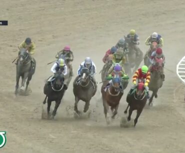 (Busan) 2024.02.25 R3 Class 5 (1200M) Handicap