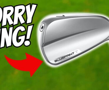 ONE REASON Why I WON'T Buy These Gorgeous NEW Ping Irons!