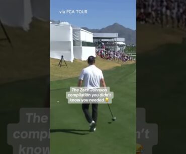 Zach STAYS accidentally hitting golf balls
