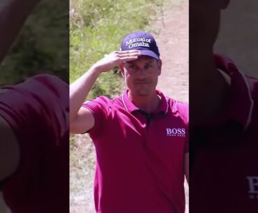 Unique left hand shots! #shorts #golf #tigerwoods