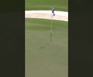 This approach from Thomas Pieters could be the Shot of the Tournament 👏