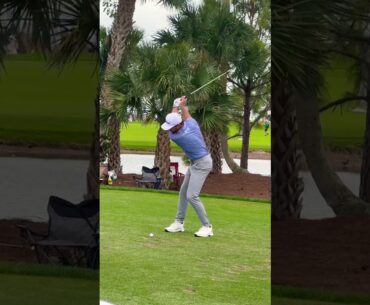 Cameron Young Iron Swing