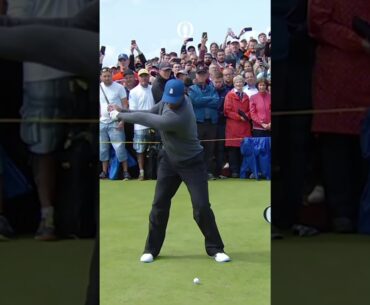 Tiger Swing 💣💣