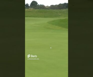 Brilliant eagle from Marcus Armitage #dunhilllinks