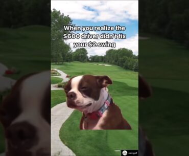 🥲 via tiktok - Red Stakes Golf #golf #golfer #golfswing #birdie #holeinone #golfgirls #golflife