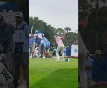 Rory McIlroy Iron Swing