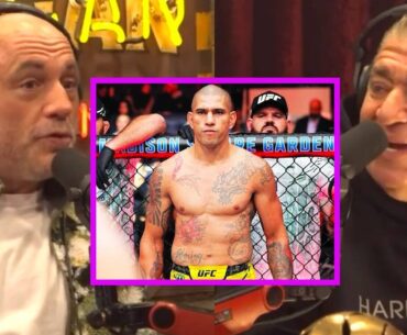 Joe on Alex Pereira: "This F*cking Guy's Terrifying"