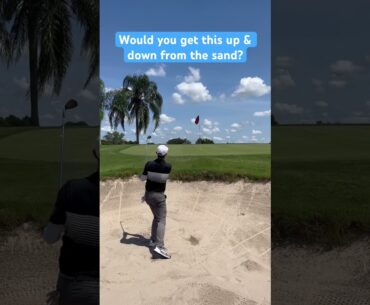 Would you get Up & Down from the Sand? #golf #golfshorts