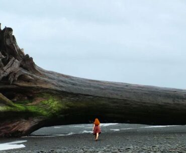 Woman Finds Massive Tree Washed Ashore, Then She Sees a Carved Warning Message on the Trunk