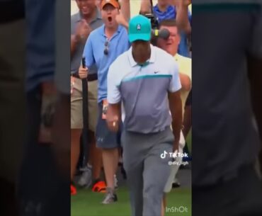 Oh, just Tiger doing Tiger things 🐅🐅