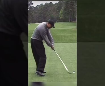 Tiger woods golf swing 2000 #golf #pgatour #pga #tigerwoods