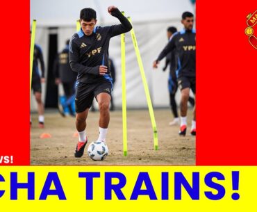 LICHA IS TRAINING! WE ARE LIVE