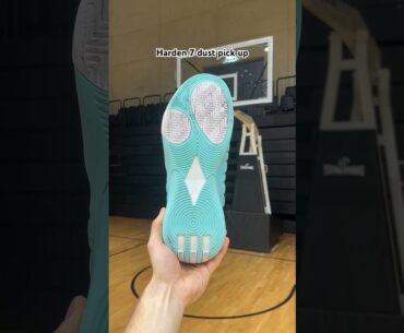 Do the Harden 7s pick up too much dust?