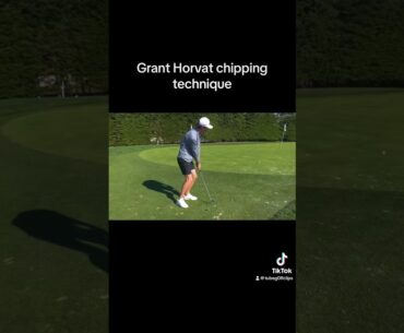 Thoughts and feelings on this? Credit: @GrantHorvatTeaches #golf #tips #shorts #chipping