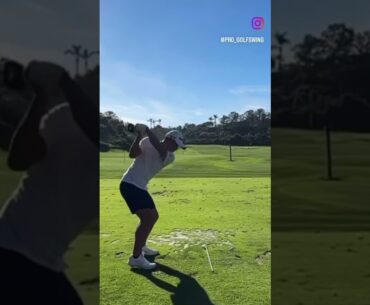 Collin Morikawa driver DL