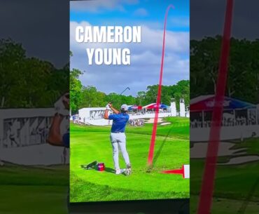 CAMERON YOUNG PERFECT BACKSWING TOP POSTION #golf #golftips #golfingtips #diy #analysis #legend