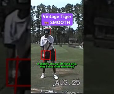 1993 Tiger Woods Swing Analysis! (Face On) #golf #golfswing #pgatour