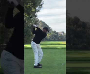 Tiger Woods Driver swing 2024 #tigerwoods #driver #sundayred