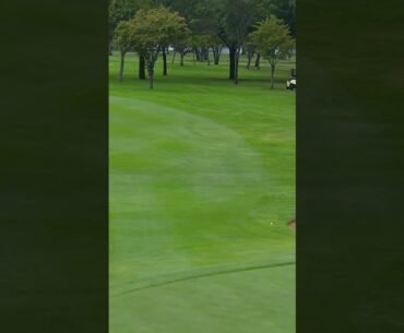Relatable golf shot. Hilarious commentary 😂