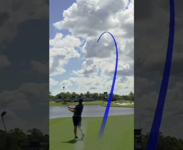 Matthew Wolff driving greens with a 3-wood is unreal 🤯#LIVGolf @RangeGoatsGC #shorts #miami