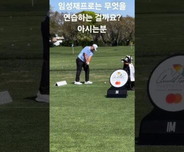 임성재 프로는 무엇을 연습중일까요? 알면 고수 모르면 하수 #임성재프로