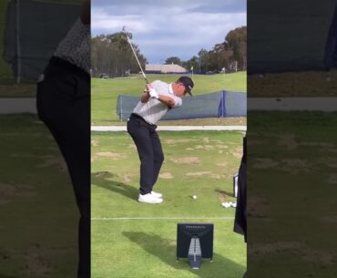 Justin Rose Golf Swing