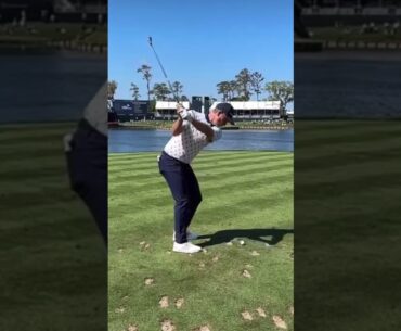 Justin Rose Golf Swing