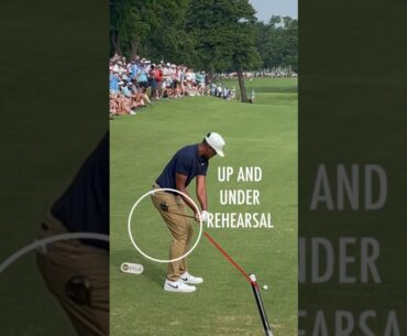 Tony Finau Driver Swing