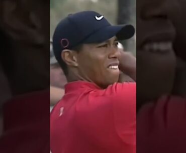 REMATCH: Tiger Woods vs Ernie Els