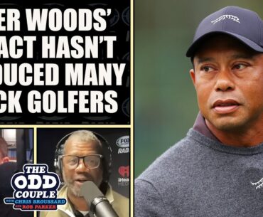Rob Parker - Why Hasn't Tiger Woods Inspired a Larger Influx of Black Golfers?