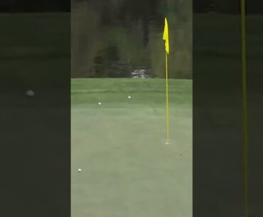 Ryo Hisatsune’s girlfriend has GAME! #golf #themasters