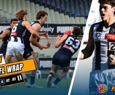 VFL Report ... Carlton 82 - 83 Collingwood