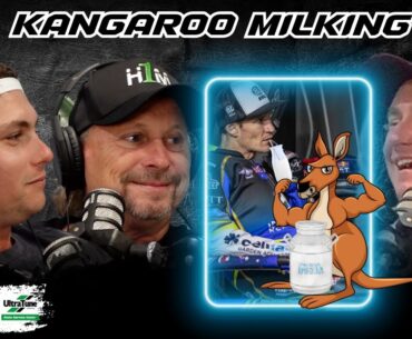 #56 Kangaroo Milking