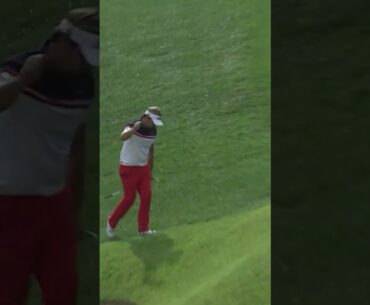 Flop shot INSANITY! 😱