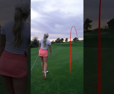 I CHIPPED IN FOR BIRDIE!!