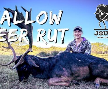 Fallow Deer Rut Adventure: Hunting in the Eastern Cape