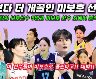 여자배구 V리그 제2의 FA시장, 보호선수 5명 그리고 흙속의 진주가 될 미보호 선수는?!