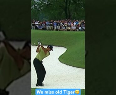 Will anyone ever match prime Tiger Woods? #golf